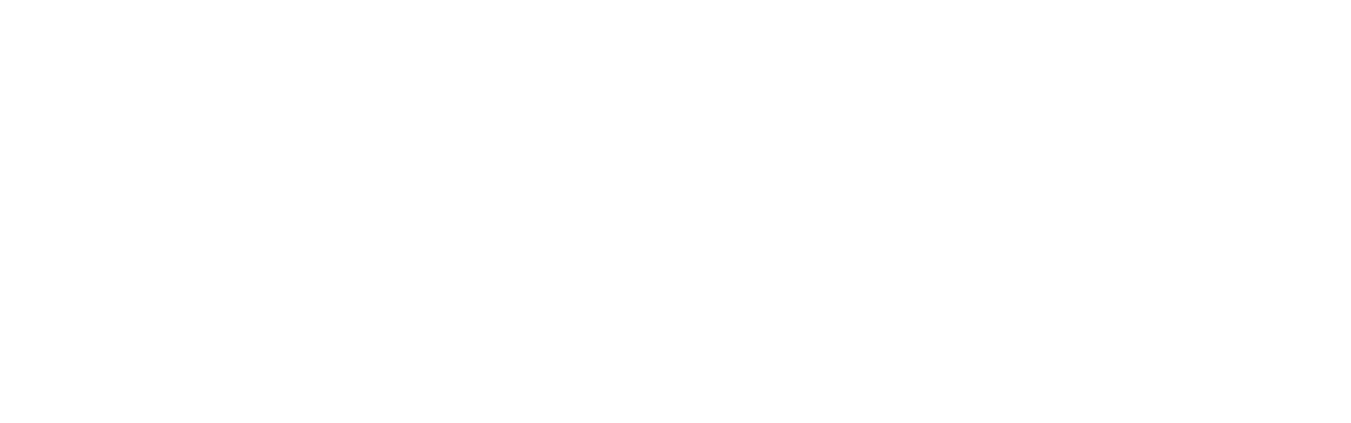 Feefo 10 Year badge 2024 Landscape Transparent