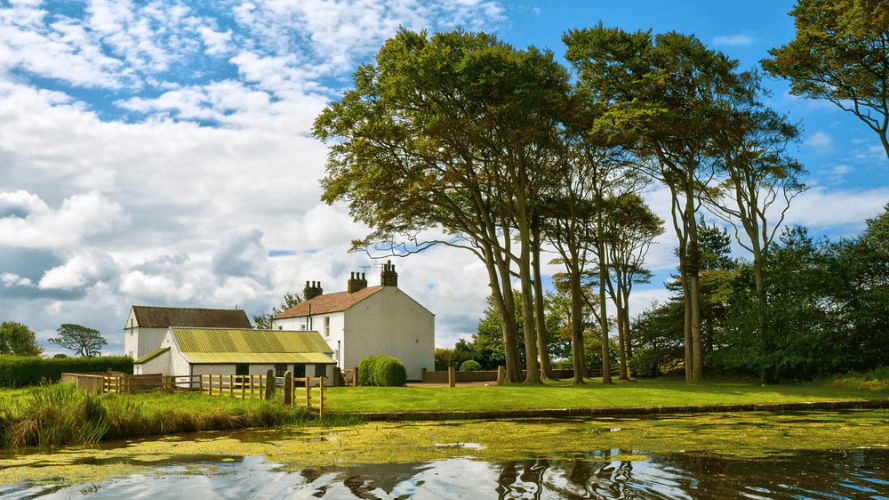 This is a photo of a large property and its gardens, there is a lake and some trees in the foreground.