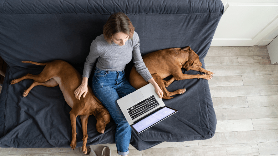 This photo shows a person sitting on a sofa with two dogs around them and an open laptop on their knee.