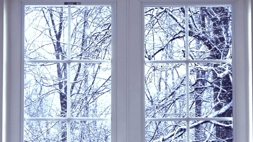 The garden of a privately rented property during winter