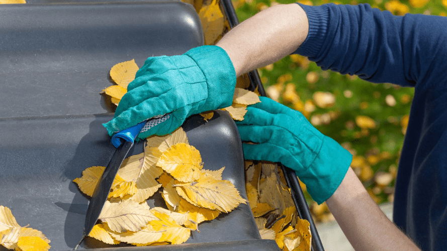 A landlord removing leaves from the roof and gutters of their property