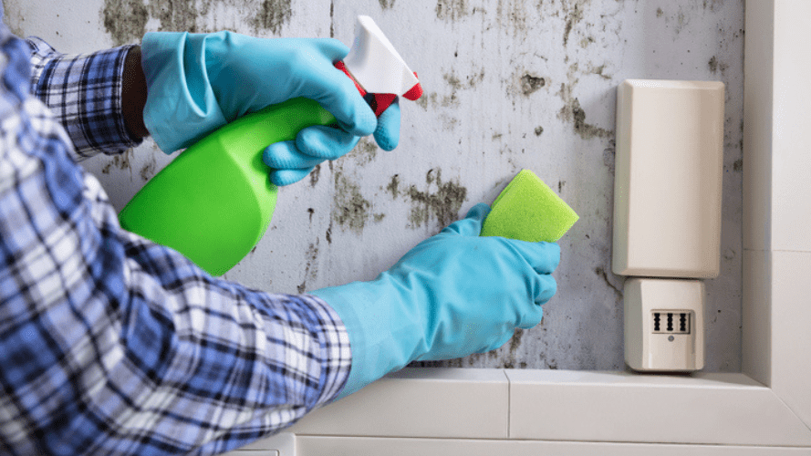 End of tenancy cleaning