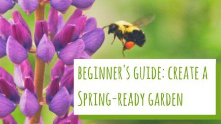 Create a spring ready garden.jpg