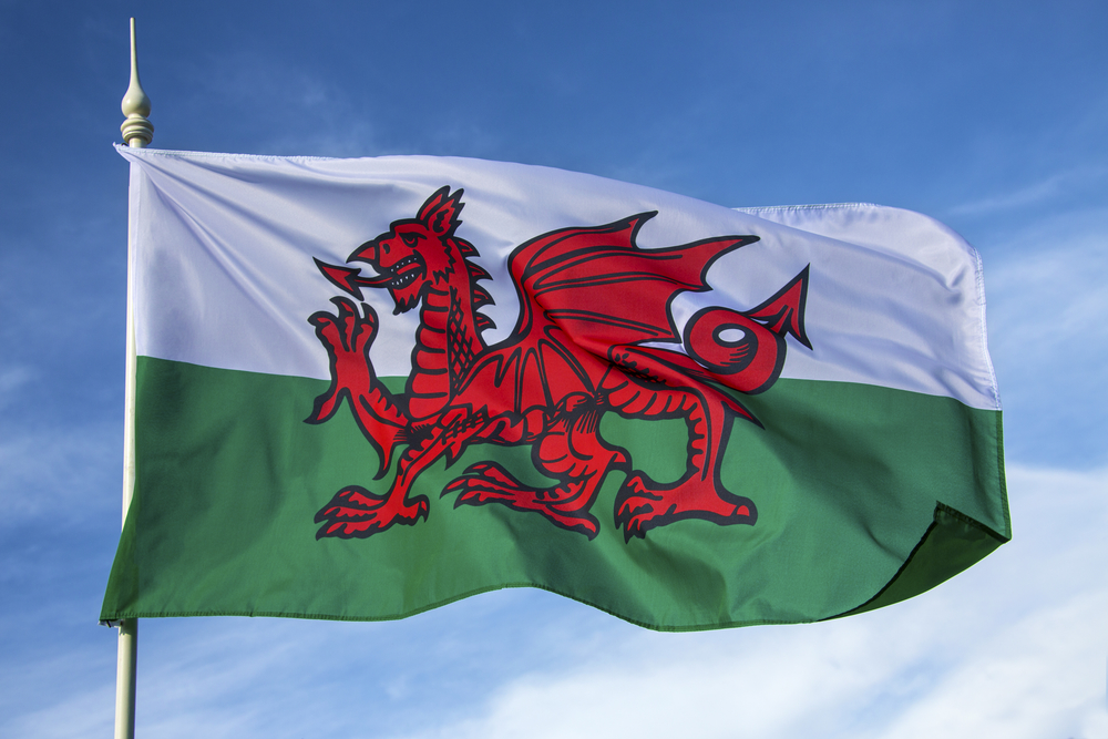 Fees ban Welsh Government consultation review