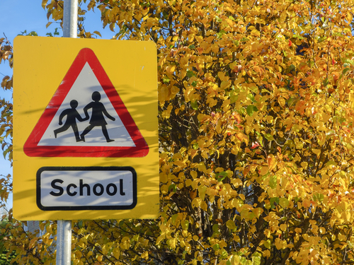 Local school crossing sign