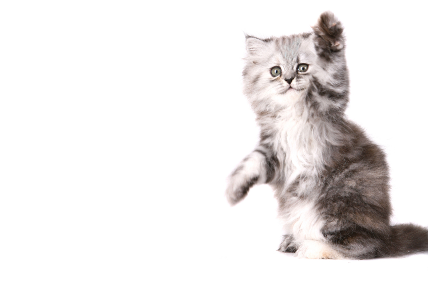 iStock 000004315003Small